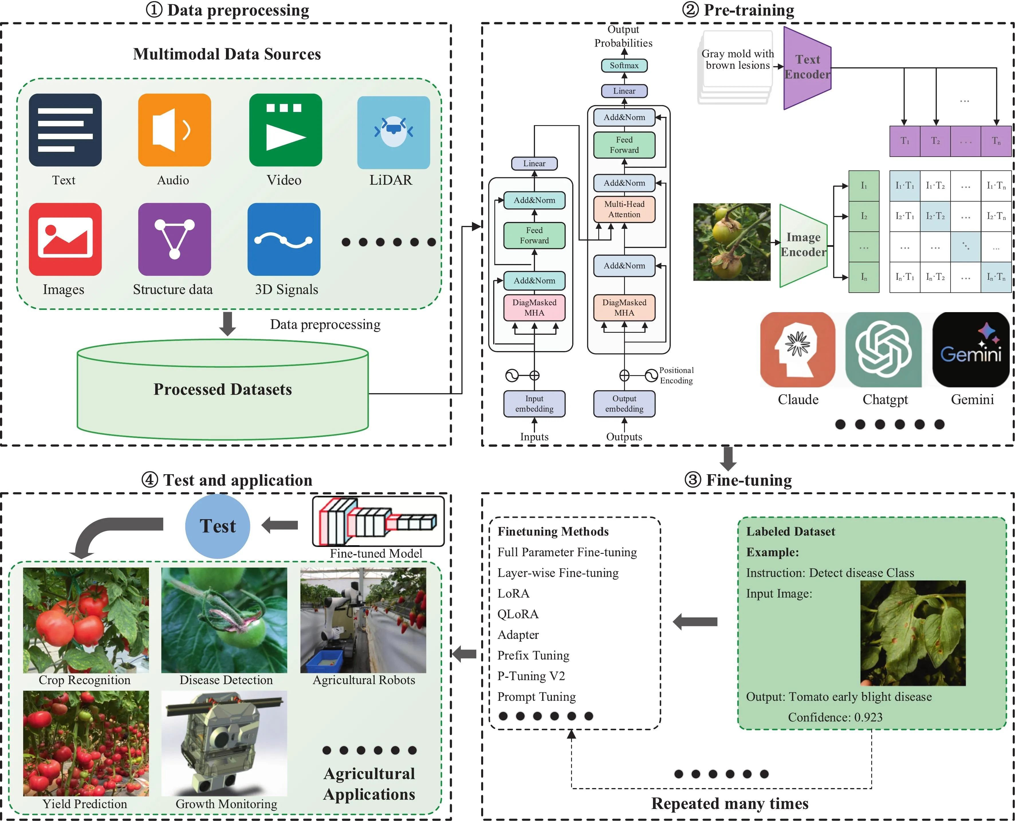 Four-stage pipeline for agricultural multimodal language models: multimodal data preprocessing, pre-training with text and image encoders, fine-tuning on labelled agricultural data, and applications from crop recognition to agricultural robots